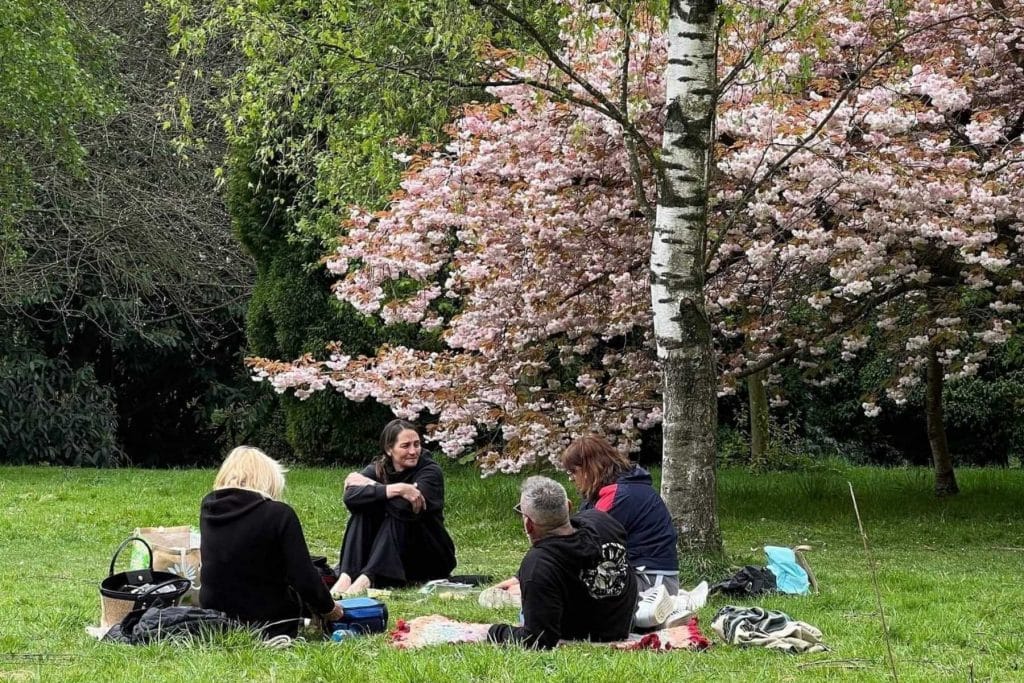Group of people sitting on the grass beneath a blossoming tree, sharing a relaxed picnic in nature.